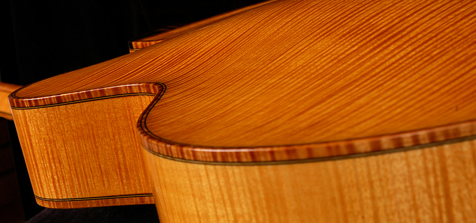 Photograph of a Koentopp Guitar